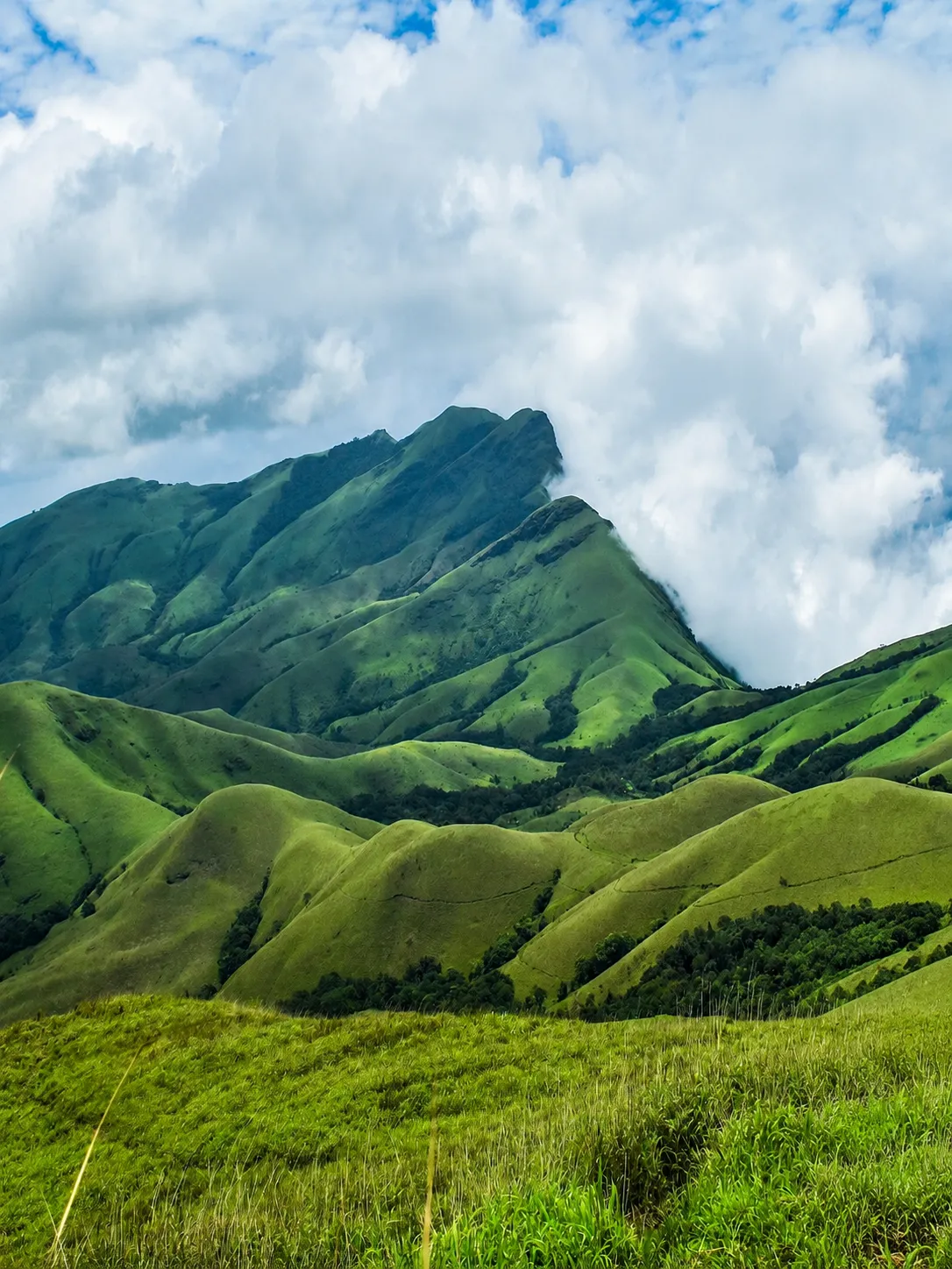 Kudremukha