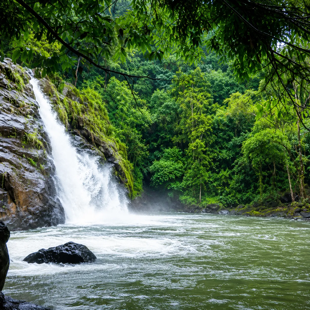 Agumbe - rainforest and temple trails