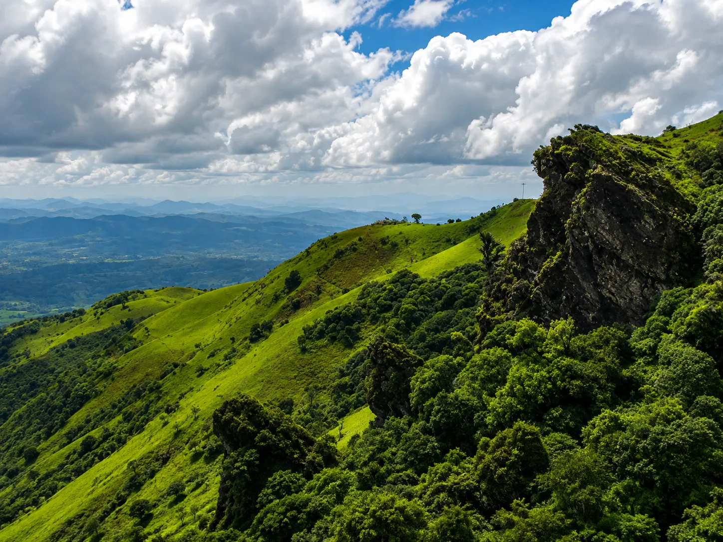 Attigundi View Point - panoramic coffee estate vistas