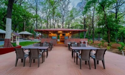 FORESRT SAFARI RETREAT