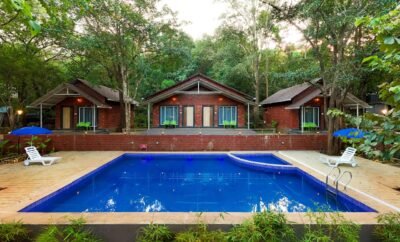 RAIN FOREST JUNGLE STAY