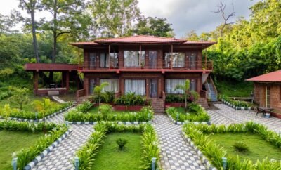 JUNGLE STAY RESORT