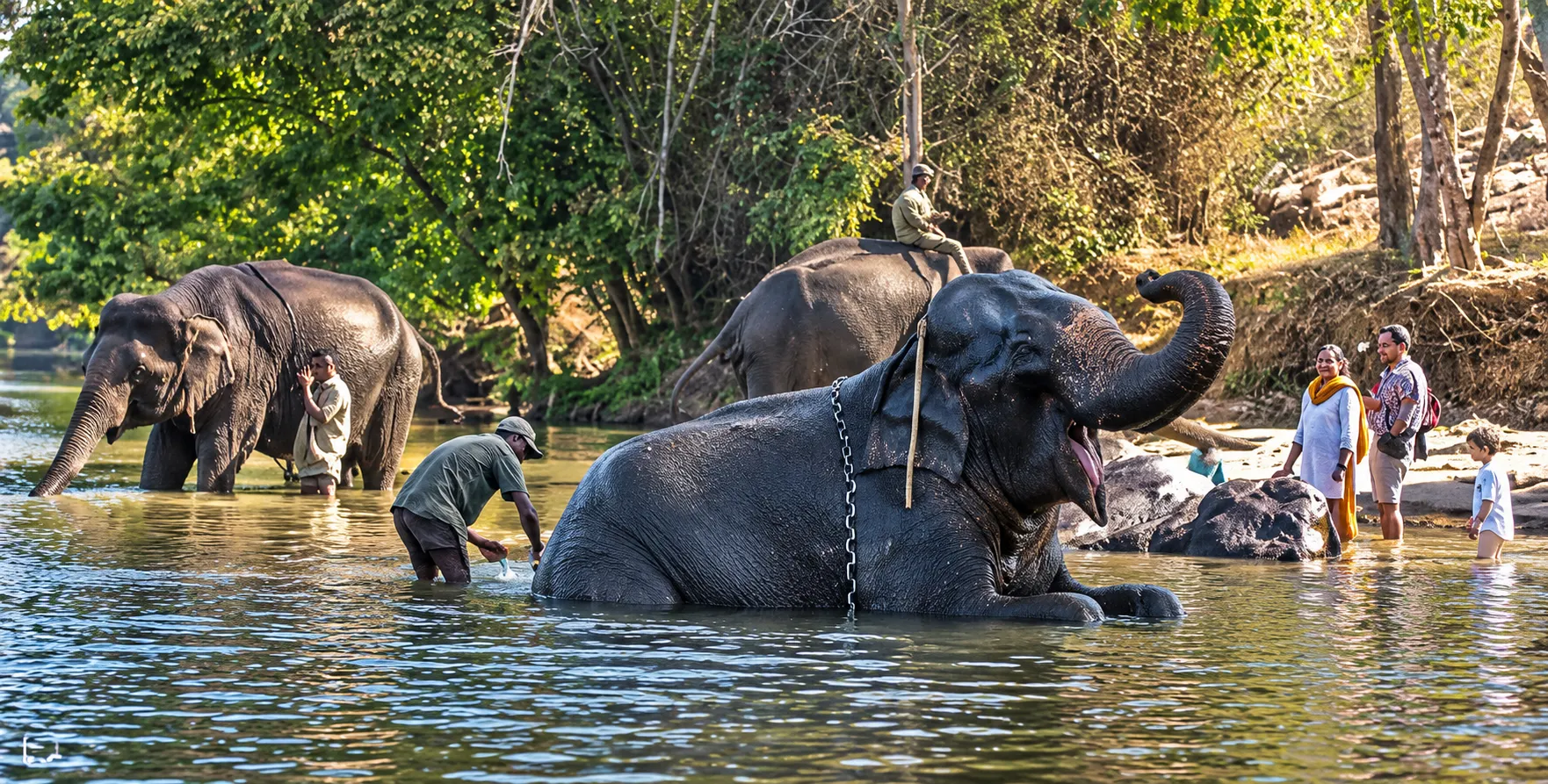 Dubare Elephant Camp